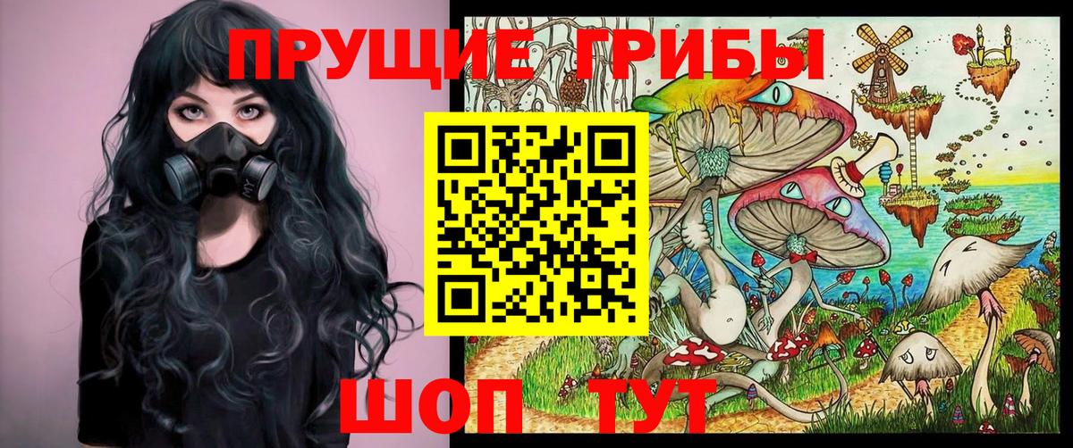 Галлюциногенные грибы GOLDEN TEACHER  как найти закладки  Моздок  Вход с VPN  Псилоцибиновые грибы мухоморы 