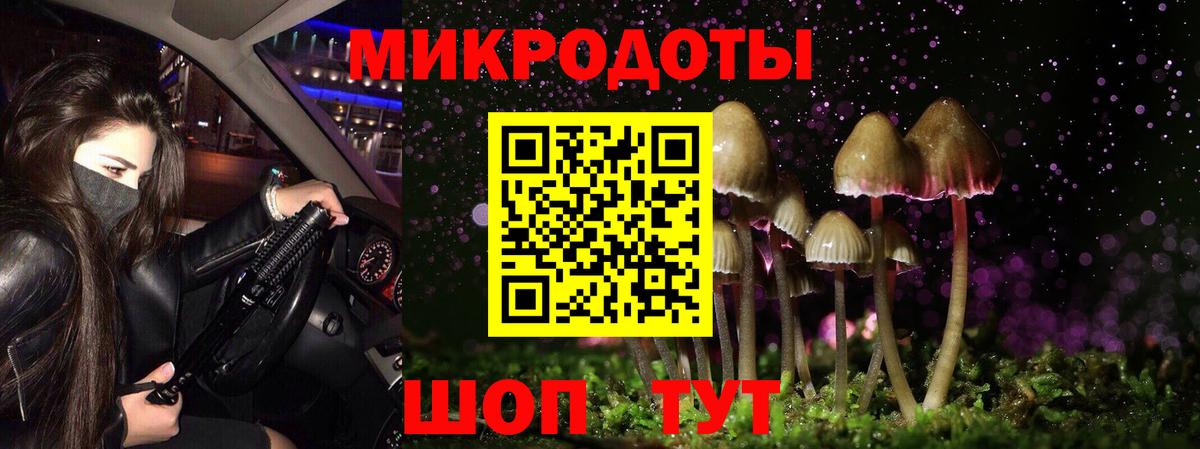 Псилоцибиновые грибы Magic Shrooms Моздок